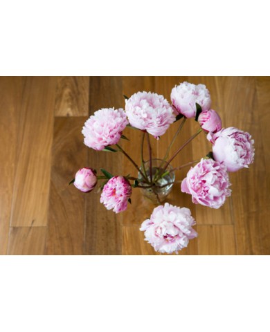 Tuyệt đỉnh giữ hoa tươi lâu