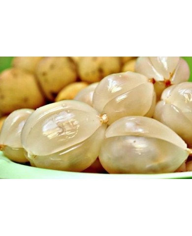 Ăn bòn bon cần chú ý