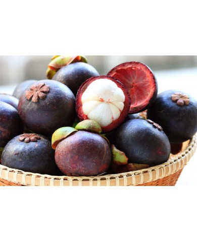 Những lưu ý khi ăn trái cây vào buổi tối