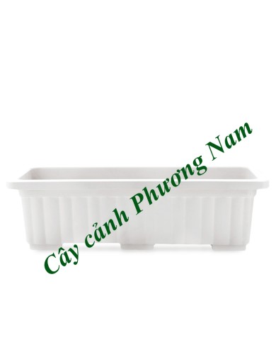 Chậu nhựa dài 63 x22 cm (trắng)