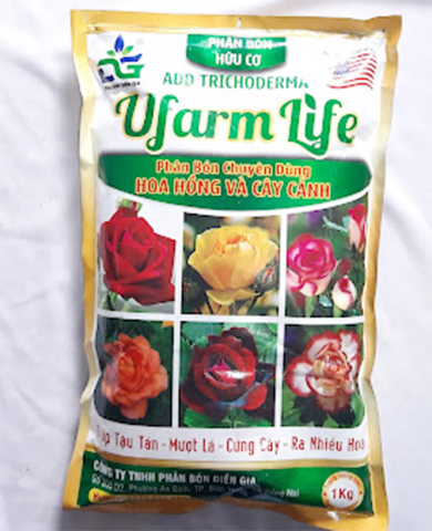 Phân bón cho hoa hồng