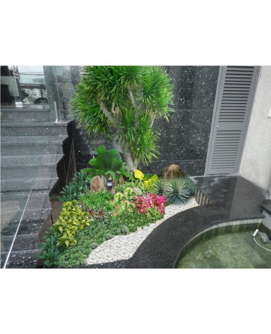 Trang trí hoa kiểng cho các sự kiện Trang trí hoa kiểng cho các sự kiện